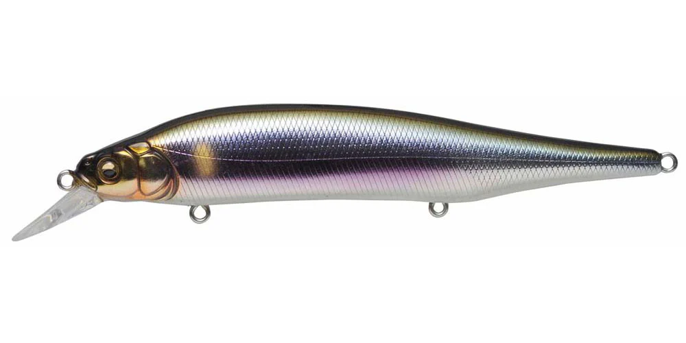 Ito Shiner - Image 20