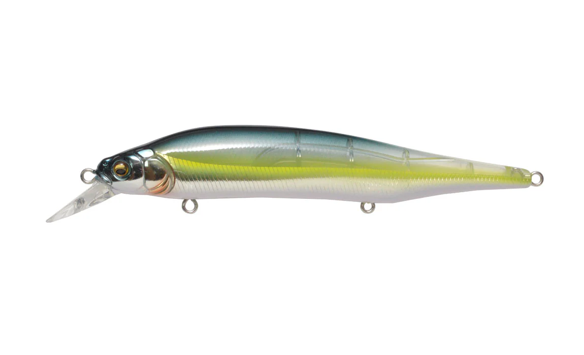 Ito Shiner - Image 7