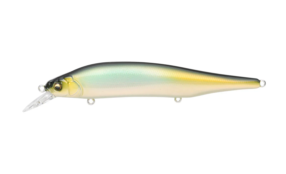 Ito Shiner - Image 8