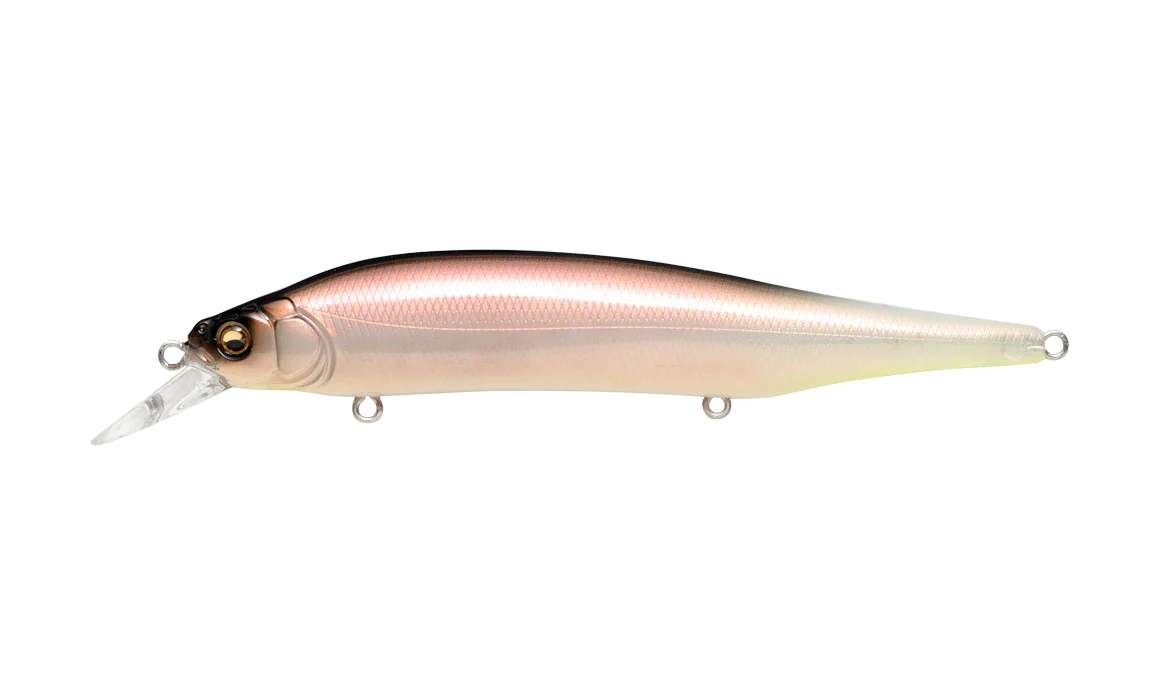 Ito Shiner - Image 9