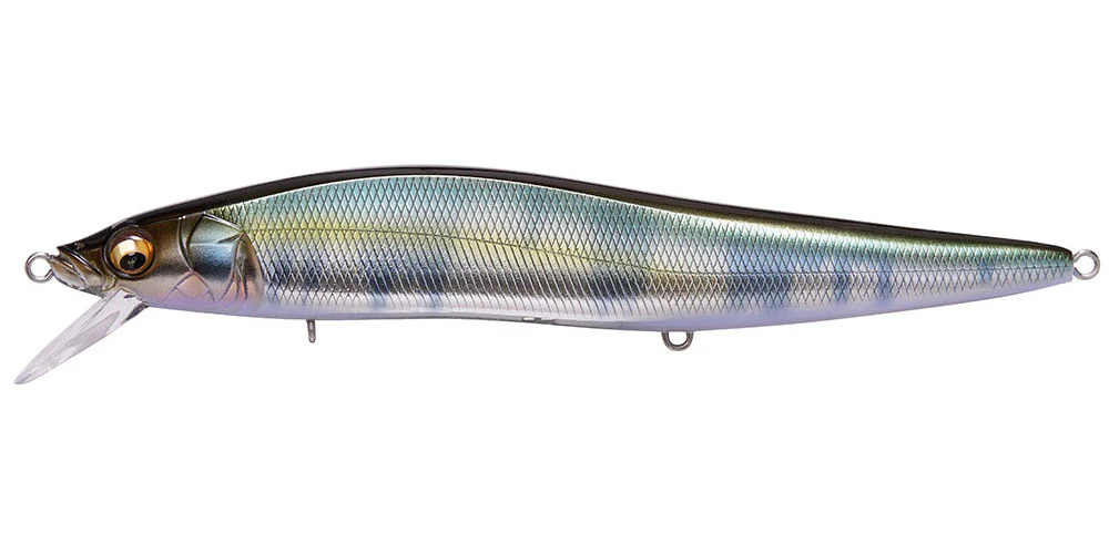 Ito Vision 110 Max LBO - Image 18