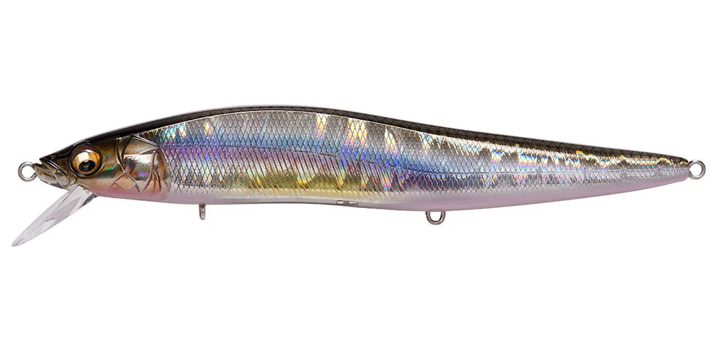 Ito Vision 110 Max LBO - Image 23