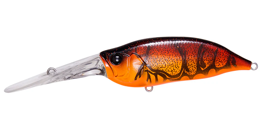 IxI Shad TX - Image 10