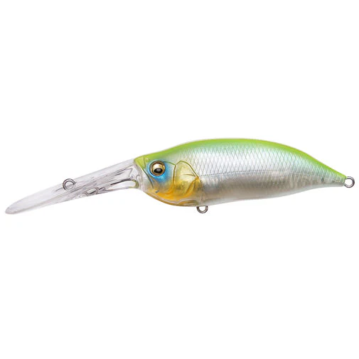 IxI Shad TX - Image 12