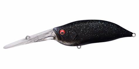 IxI Shad TX - Image 13