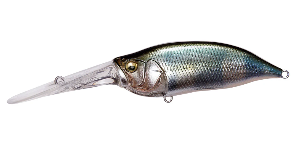 IxI Shad TX - Image 14