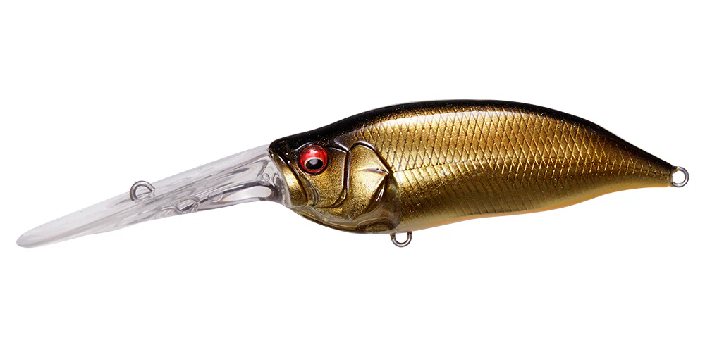IxI Shad TX - Image 15