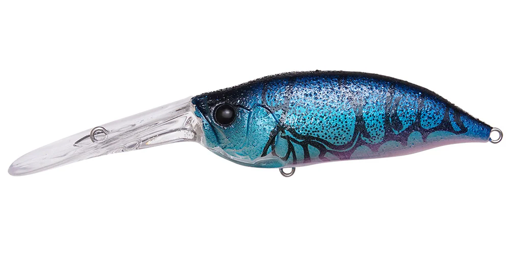 IxI Shad TX - Image 16