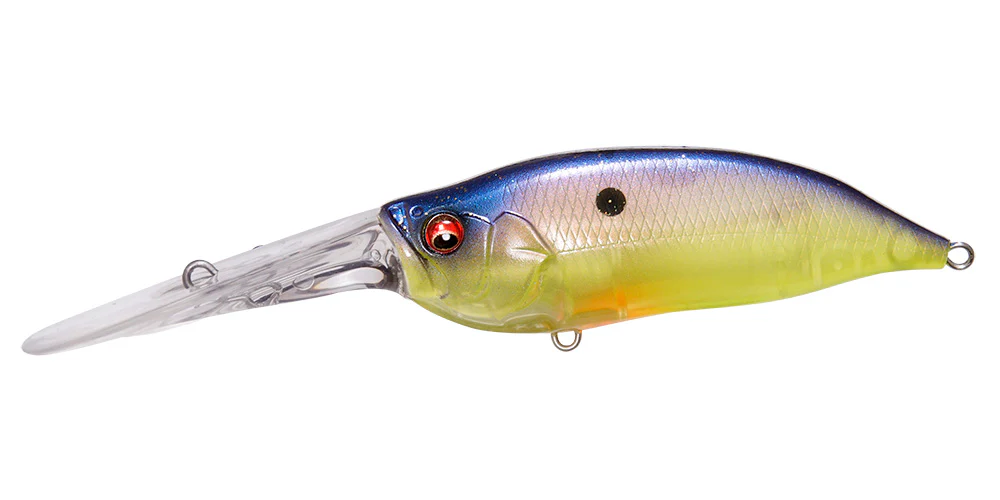 IxI Shad TX - Image 18