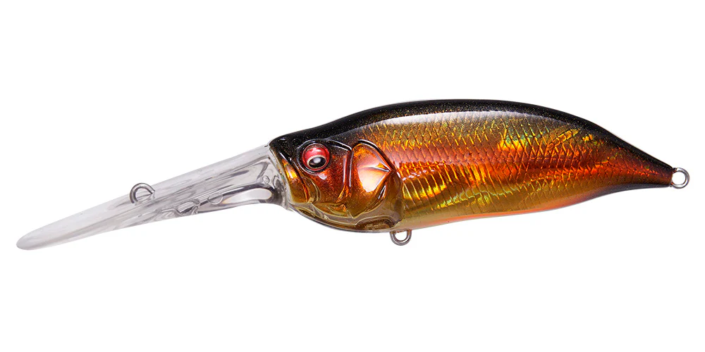 IxI Shad TX - Image 19