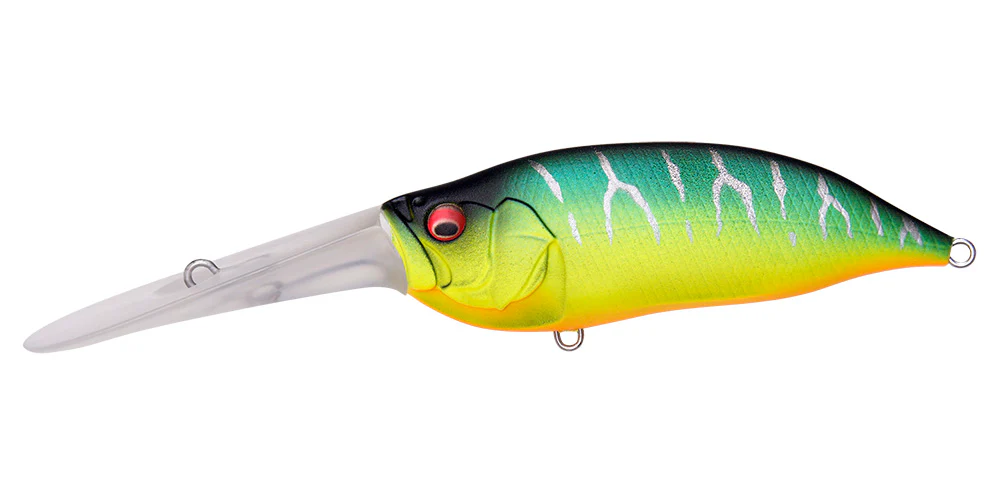 IxI Shad TX - Image 20