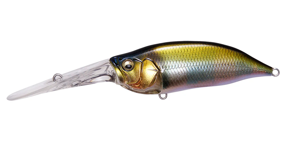 IxI Shad TX - Image 21