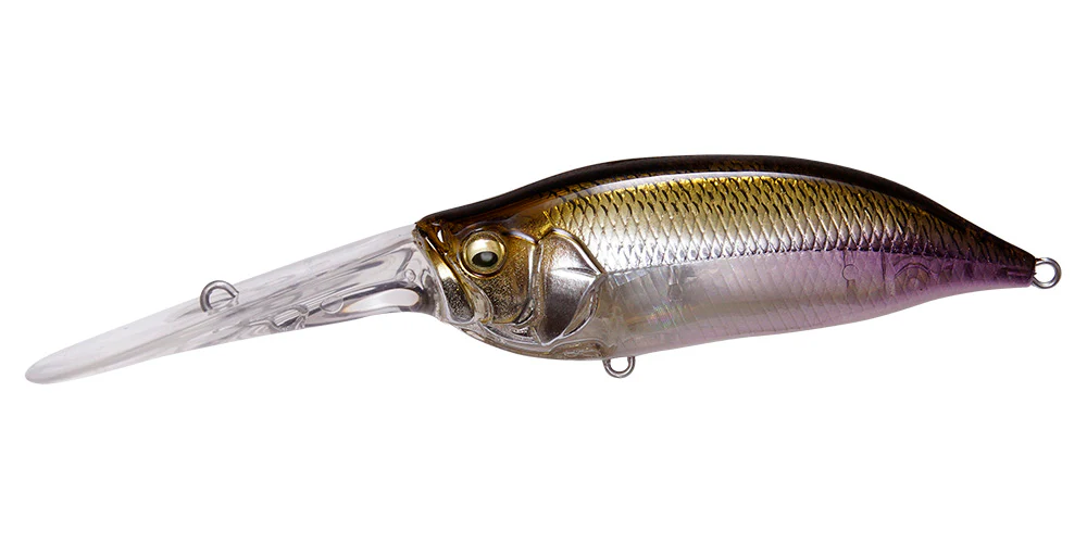 IxI Shad TX - Image 3