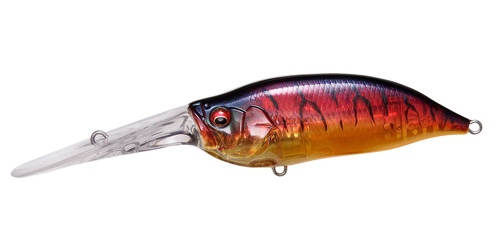IxI Shad TX - Image 6