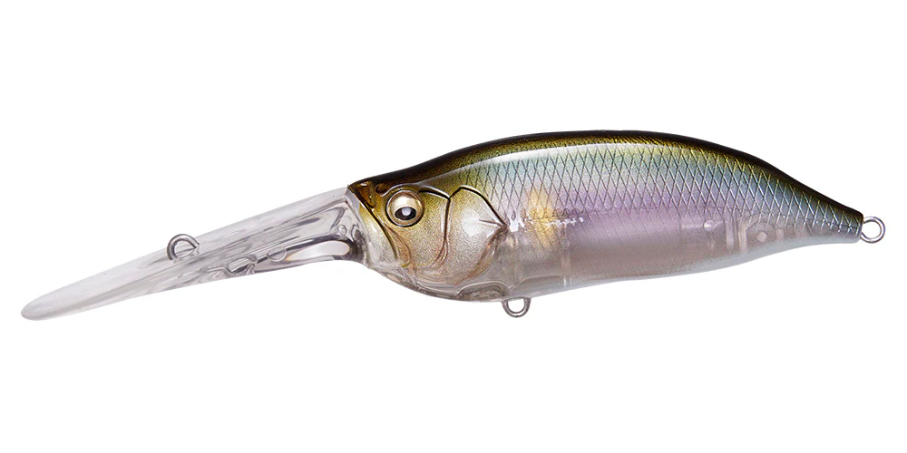 IxI Shad TX - Image 7