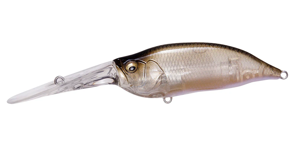 IxI Shad TX - Image 8