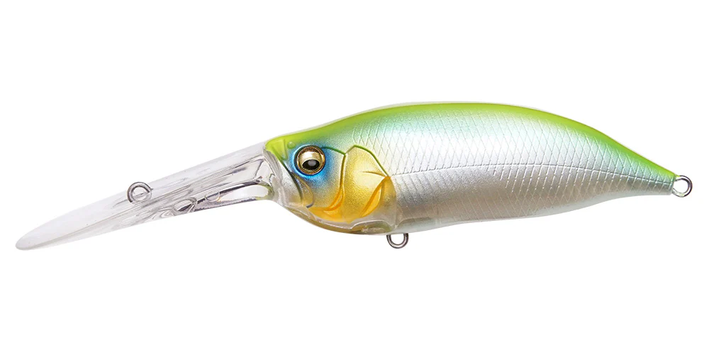 IxI Shad TX - Image 9