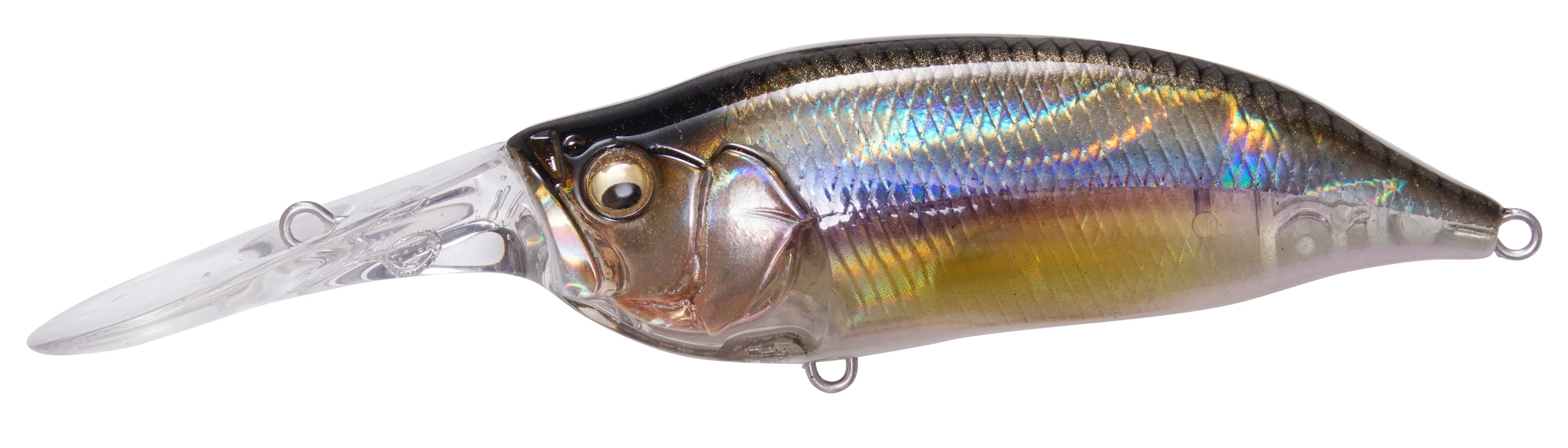 IxI Shad Type-3 - Image 10