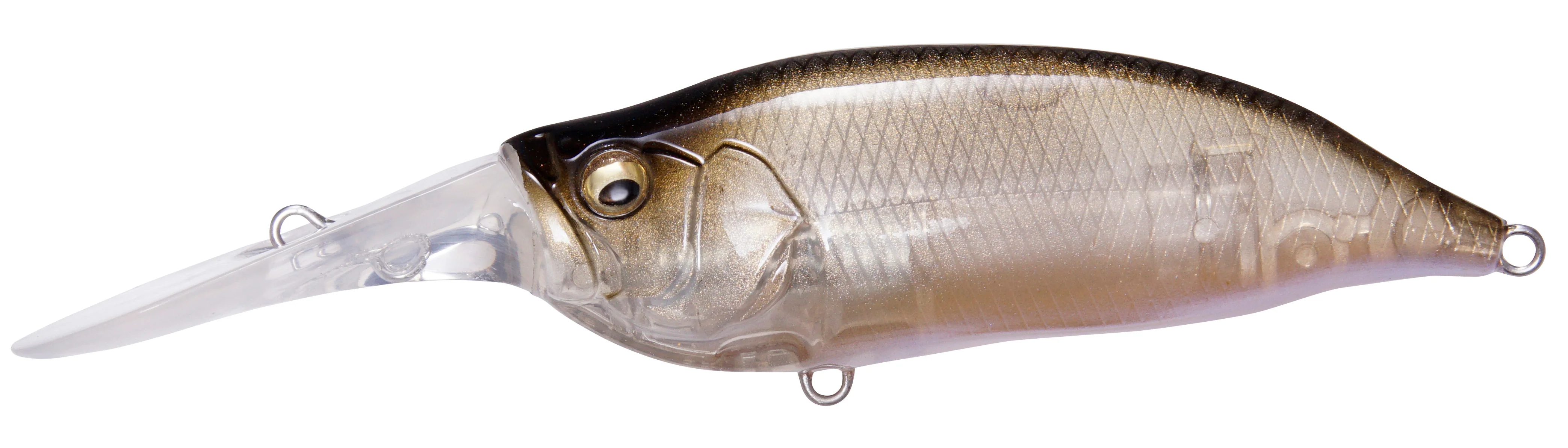 IxI Shad Type-3 - Image 15