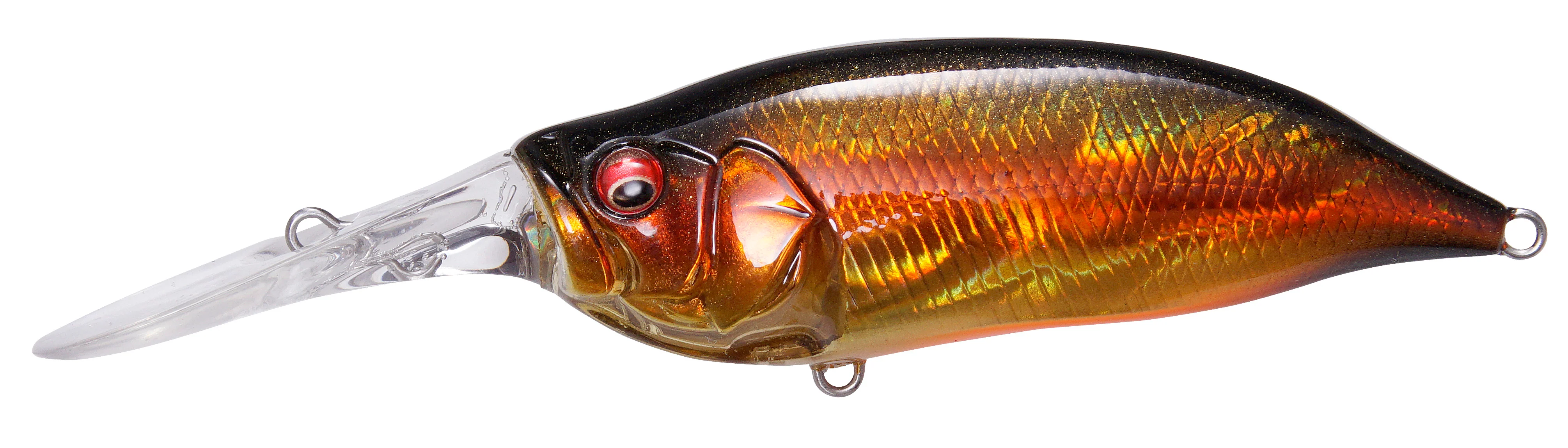 IxI Shad Type-3 - Image 6