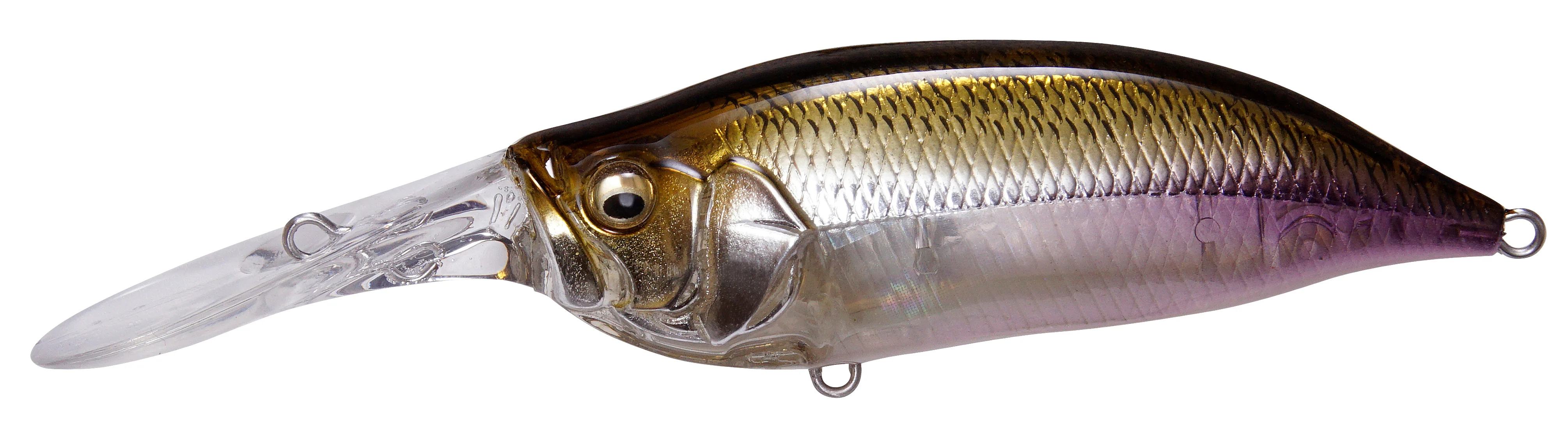 IxI Shad Type-3 - Image 9