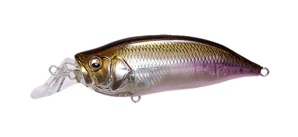 IxI Shad Type-R - Image 10