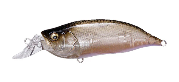 IxI Shad Type-R - Image 11