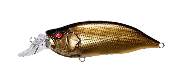 IxI Shad Type-R - Image 12