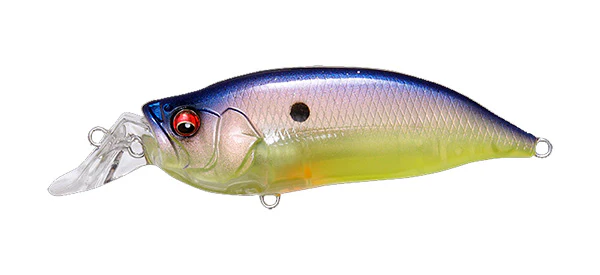 IxI Shad Type-R - Image 13