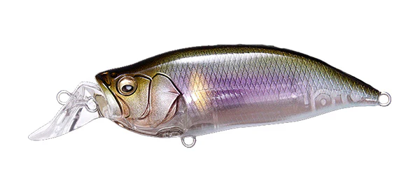 IxI Shad Type-R - Image 14