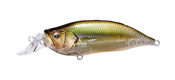 IxI Shad Type-R - Image 15