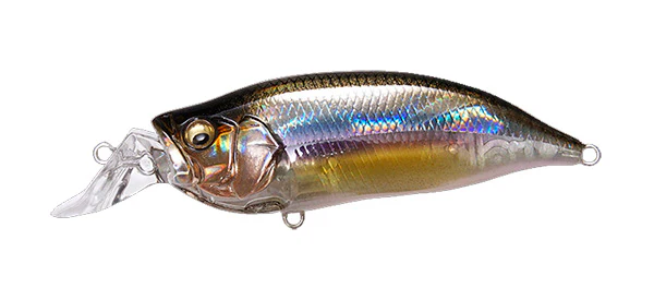 IxI Shad Type-R - Image 16