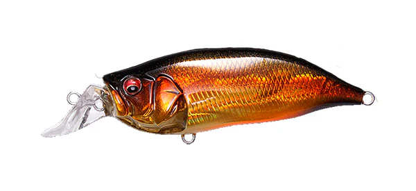 IxI Shad Type-R - Image 17