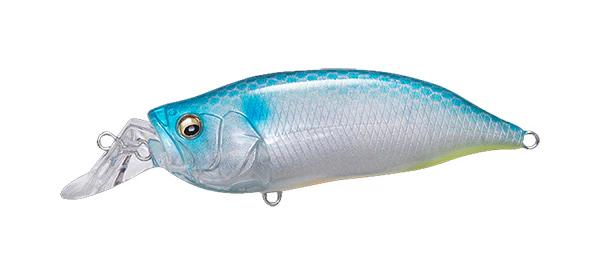 IxI Shad Type-R - Image 19
