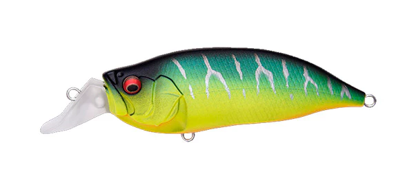 IxI Shad Type-R - Image 20