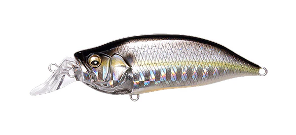 IxI Shad Type-R - Image 22