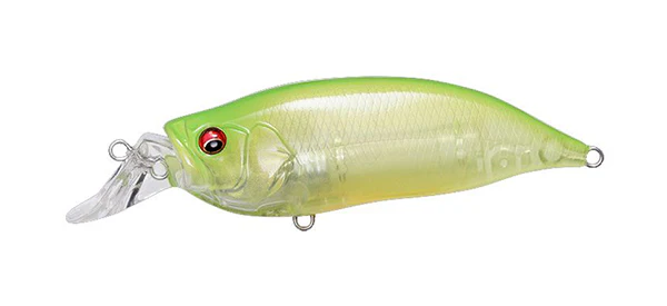 IxI Shad Type-R - Image 3