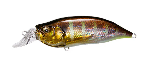 IxI Shad Type-R - Image 5