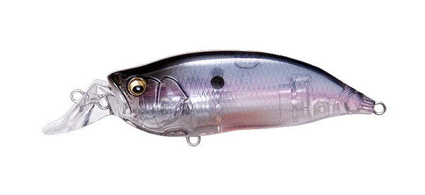 IxI Shad Type-R - Image 6