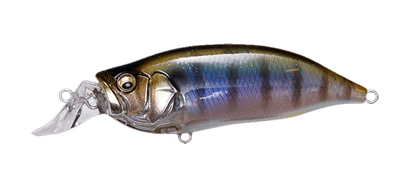 IxI Shad Type-R - Image 7
