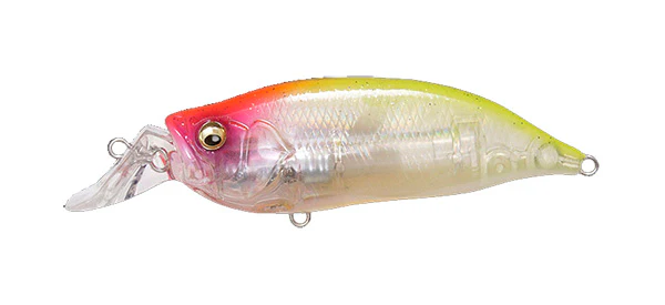 IxI Shad Type-R - Image 8