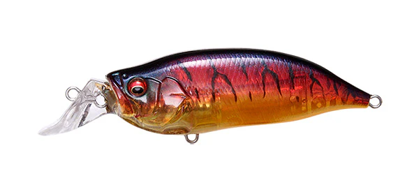 IxI Shad Type-R - Image 9