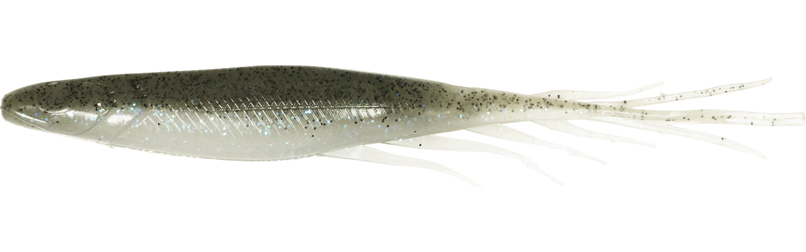 Judy Fish