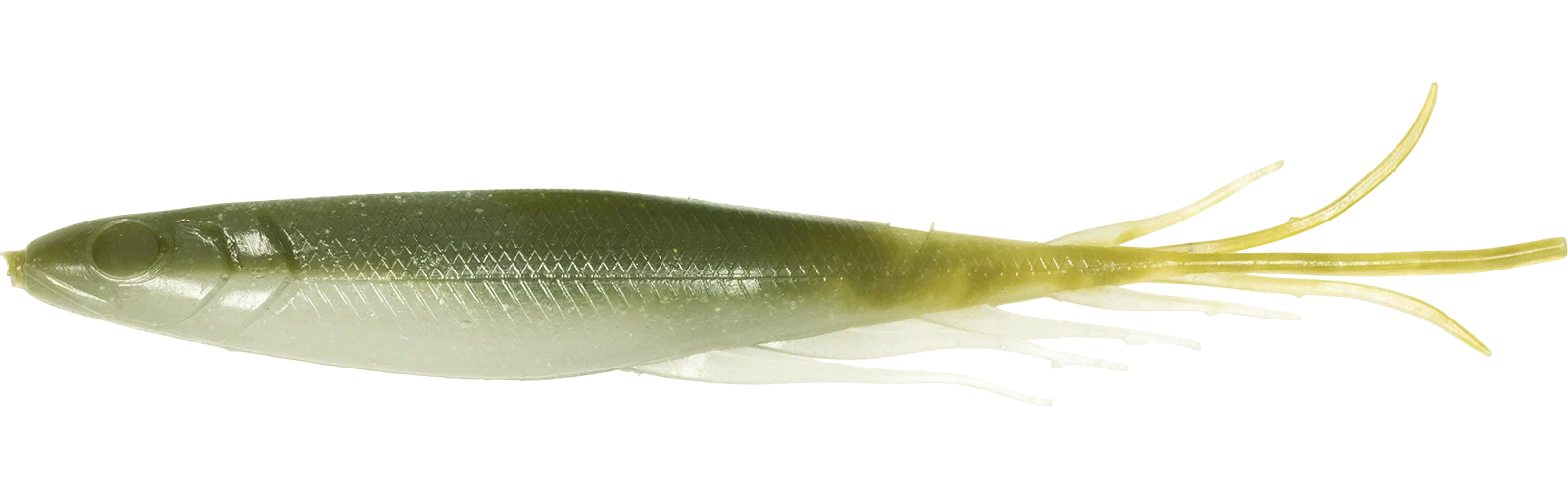 Judy Fish - Image 2