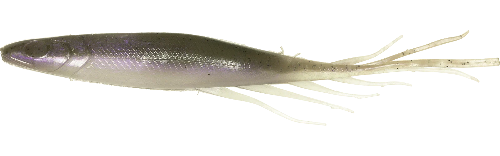 Judy Fish - Image 9