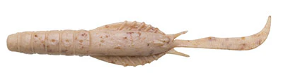 Jukusei Aqua Swimmer Shrimp - Image 2
