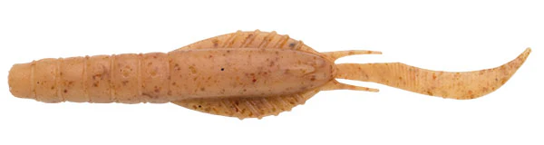 Jukusei Aqua Swimmer Shrimp - Image 3