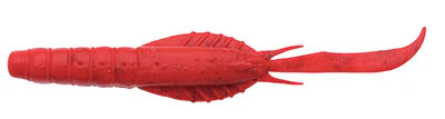 Jukusei Aqua Swimmer Shrimp - Image 7