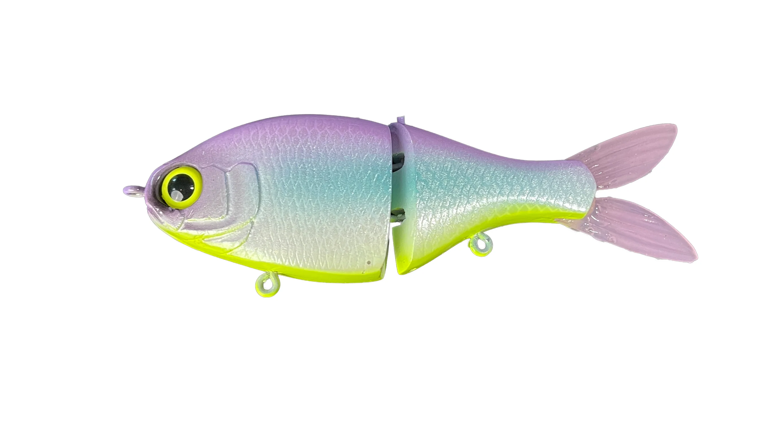 Junior Shad - Image 10