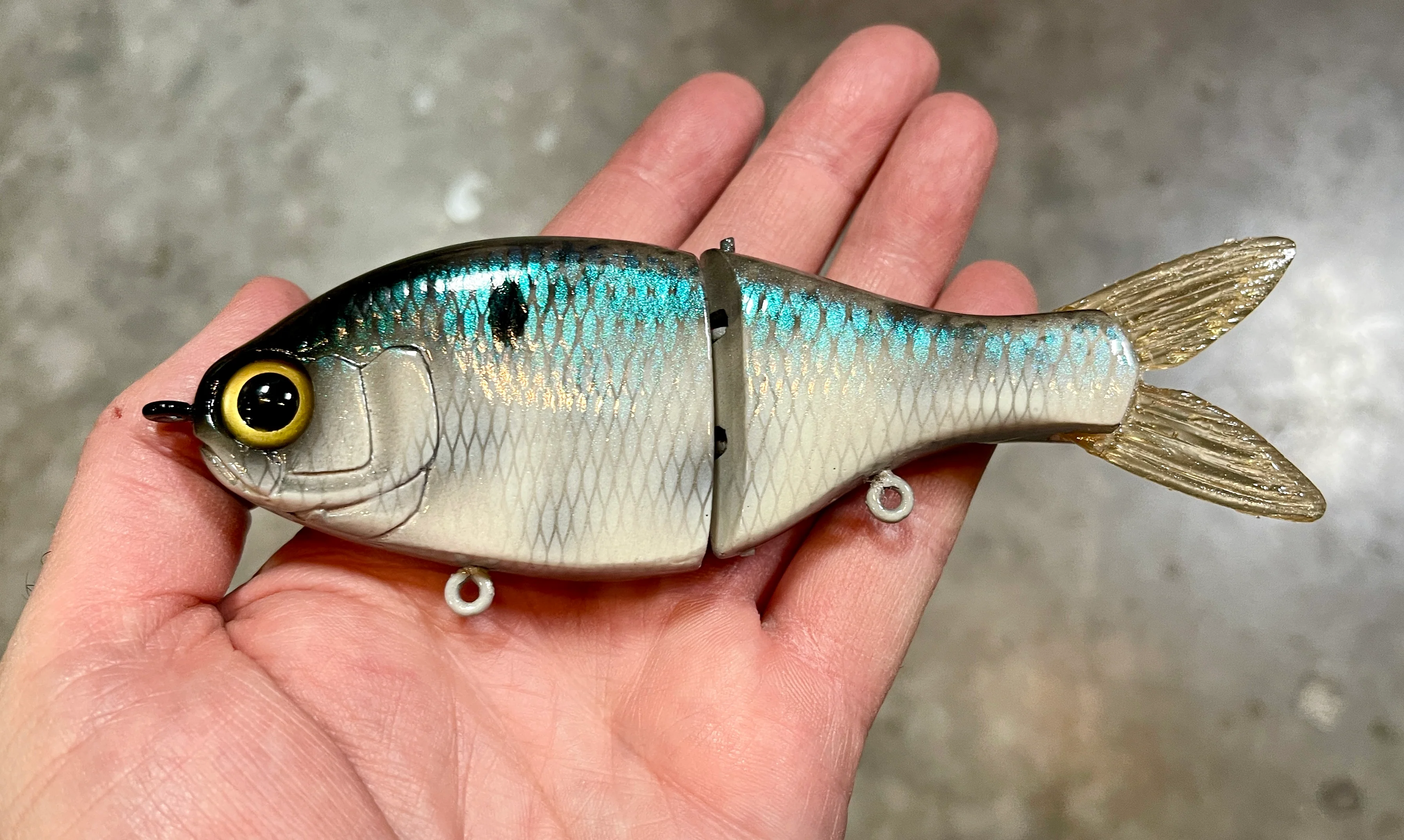 Junior Shad - Image 4